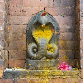 Nag Devta [Naxal Bhagwati Temple]